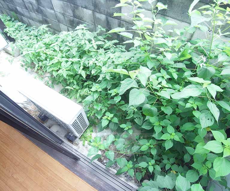 Balcony. It is a veranda.