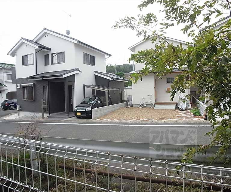 View. Outdoor landscape