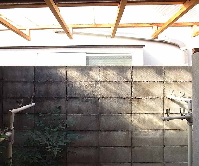 View. Outdoor landscape