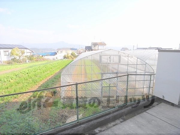 View. It spreads vegetable garden