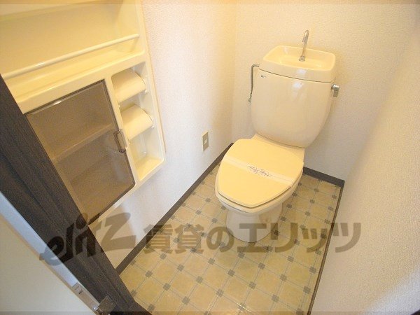 Toilet. Restroom with cleanliness