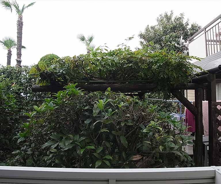 View. Outdoor landscape