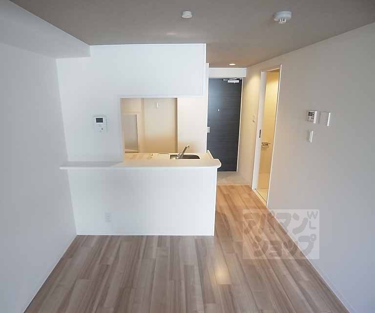 Living and room. Sophisticated space of counter kitchen adoption