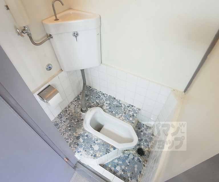 Toilet. Japanese-style toilet