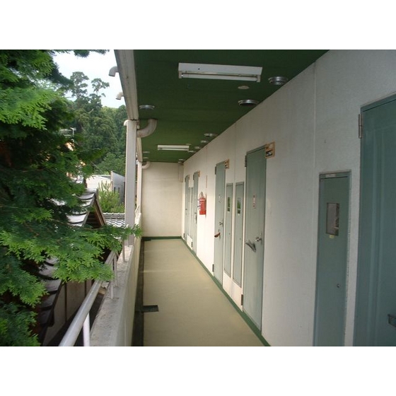 Other common areas. Corridor