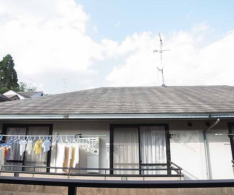 View. Outdoor landscape