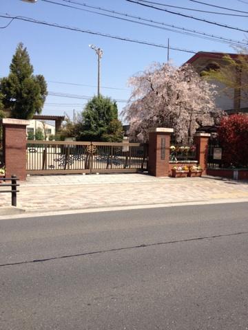 Other. OtoriIsao elementary school  About 400m