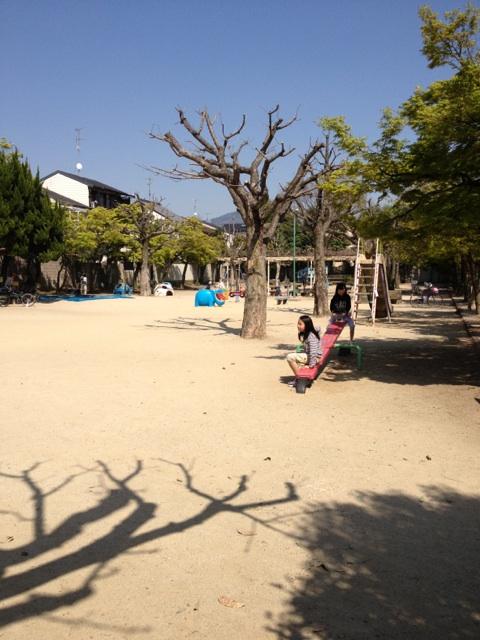 Other. Murasakino willow park  About 300m