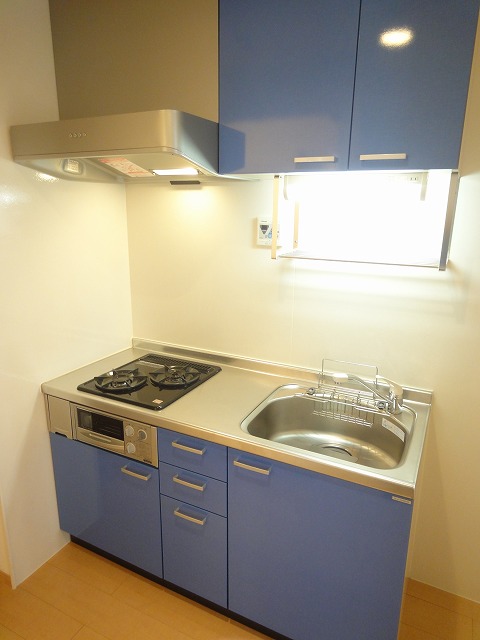 Kitchen. 2 lot gas stoves of the system kitchen