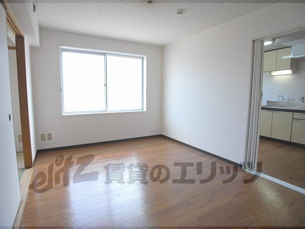 Living and room. Sunny room