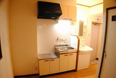 Kitchen. Two-burner gas stove can be installed