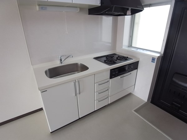 Kitchen. Overall picture