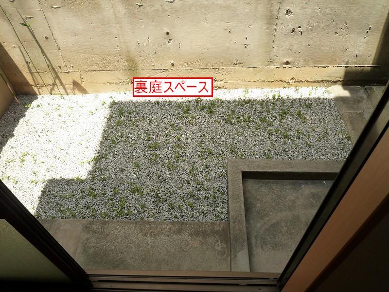 Other. It is a backyard space. 