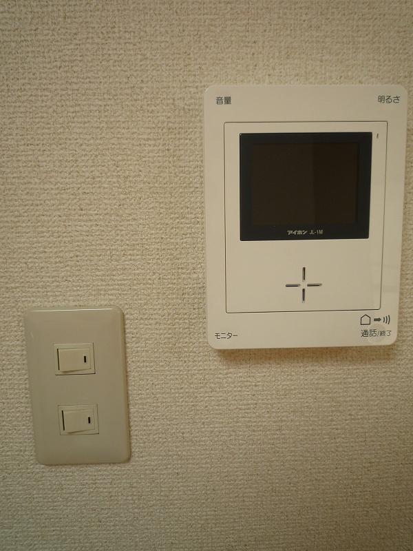 Other. TV monitor inter horn