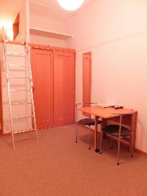 Living and room. Carpet of the room