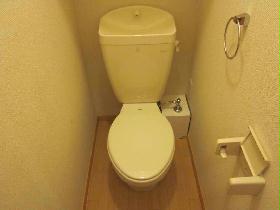 Toilet. Bus toilet another separate