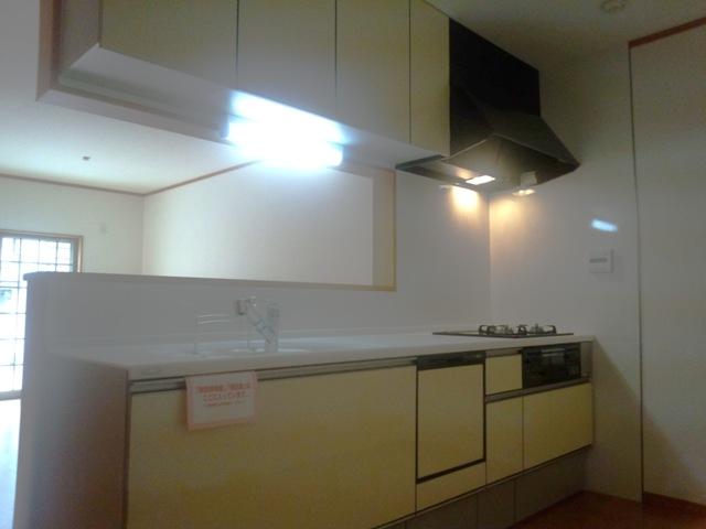 Kitchen. Construction example: the atmosphere of the kitchen by the door color is change! You can choose from a rich color, if not groundbreaking at the time!