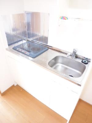 Kitchen. It survives widely kitchen