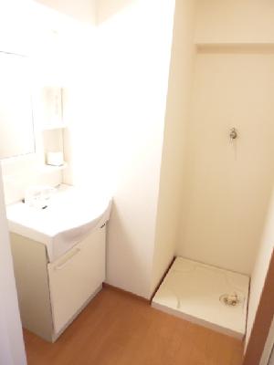 Other. It is with a basin dressing room