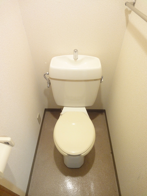 Toilet. toilet. It is a photograph of another room.