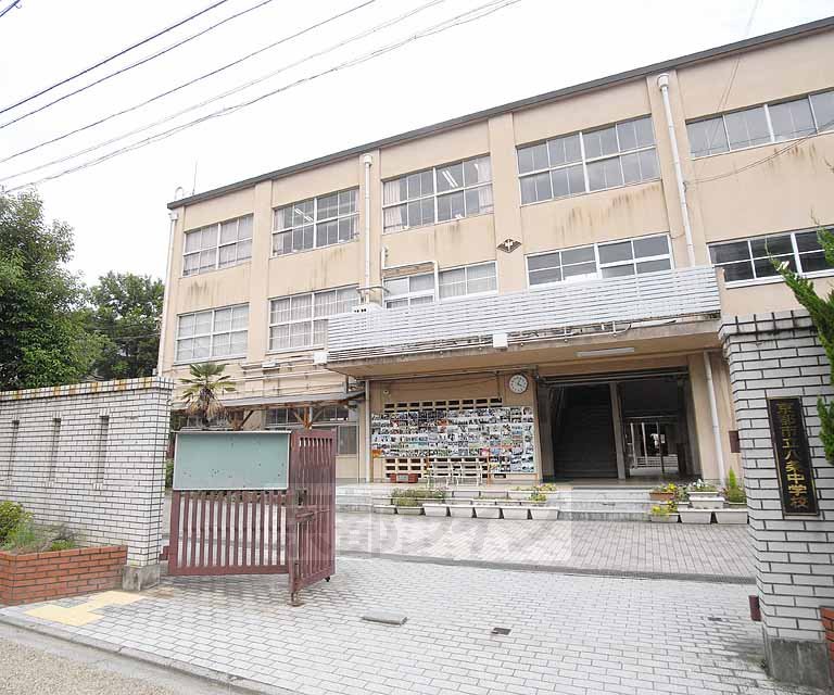 Junior high school. Hachijo 200m until junior high school (junior high school)