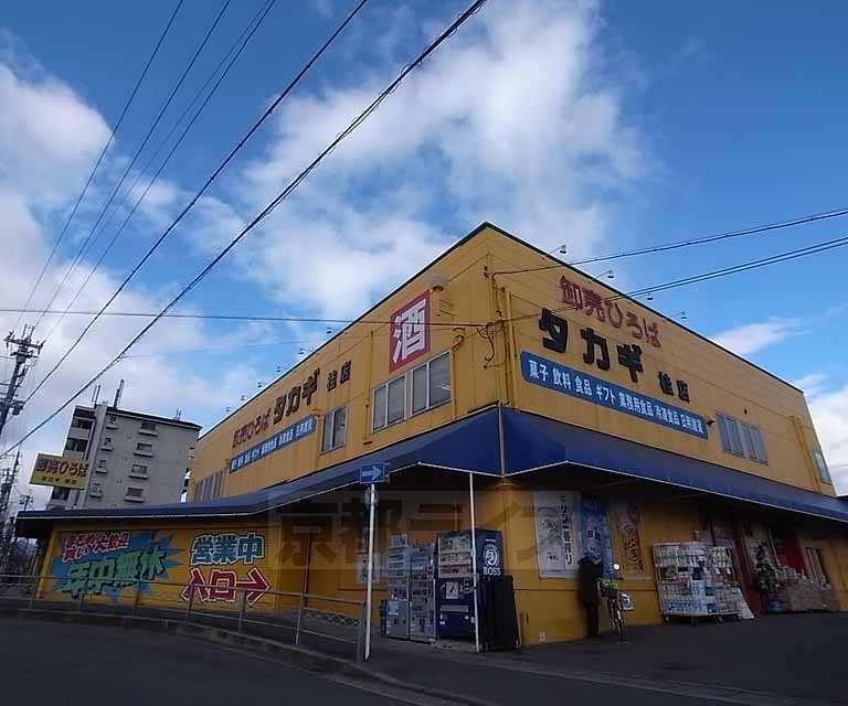Other. 950m to wholesale Square Takagi Katsuramise (Other)