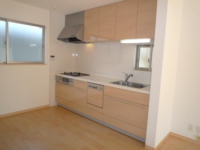 Kitchen. Indoor (11 May 2013) Shooting