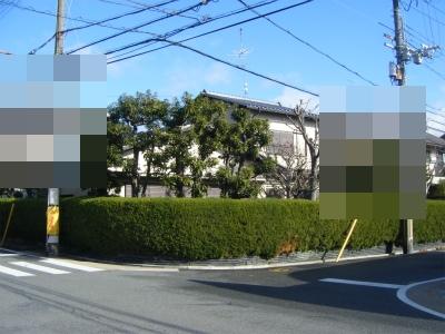 View photos from the local. Local (12 May 2013) Shooting