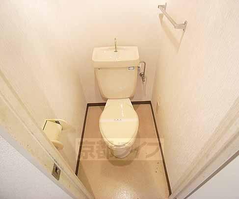 Toilet. Western-style toilet!