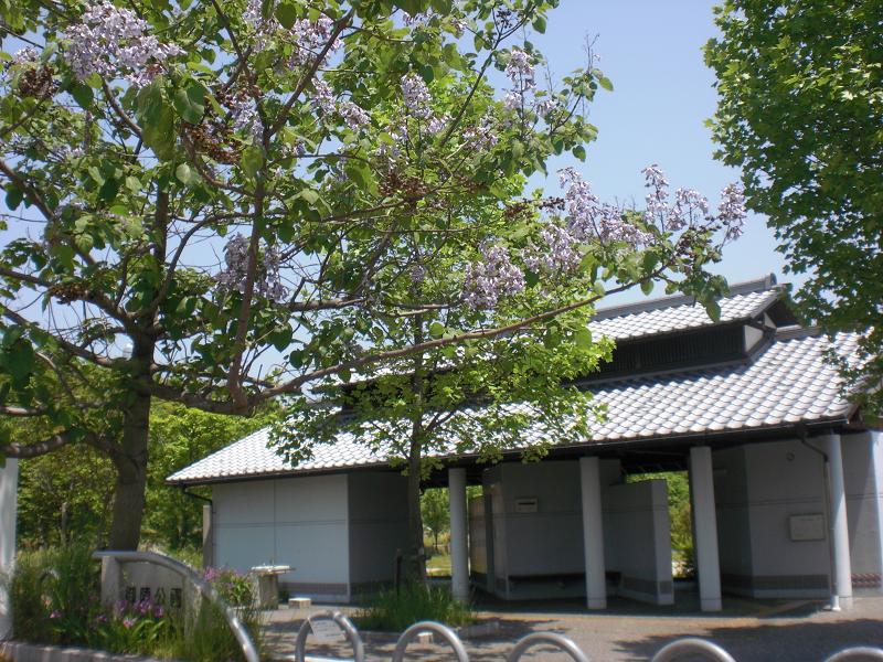 park. Until the tomb park 1439m