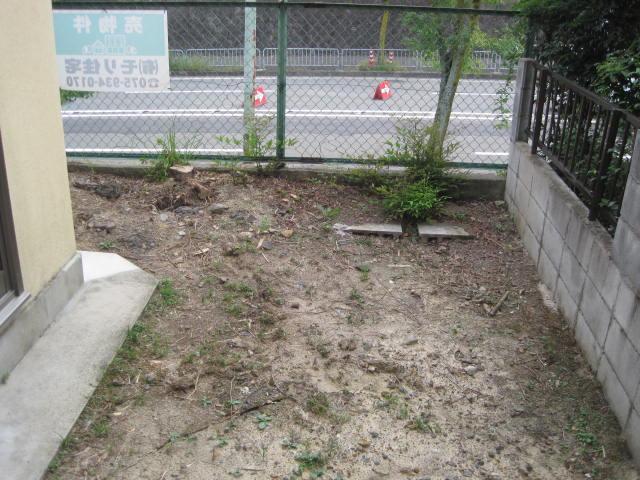 Garden. Local (11 May 2013) Shooting