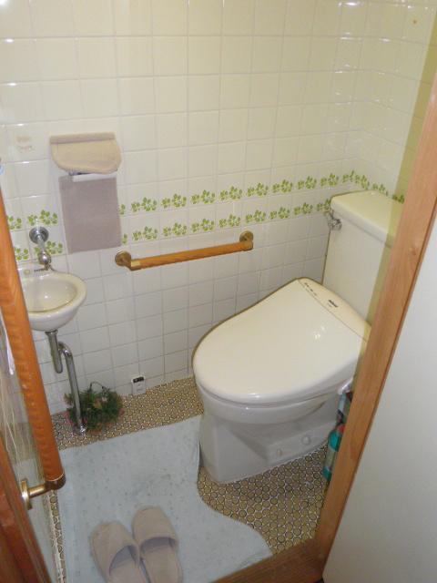 Toilet. Washlet toilet. 