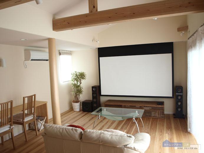 Other. Reference is a picture. In the family! One person! Movies and sports on the big screen!