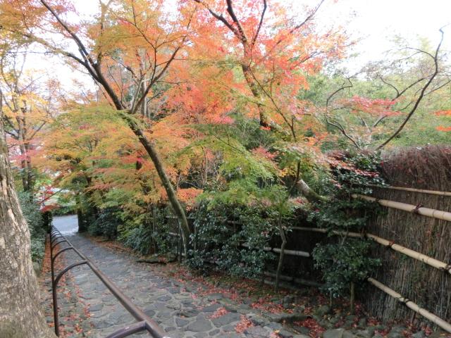 Local photos, including front road. Maple is very beautiful.