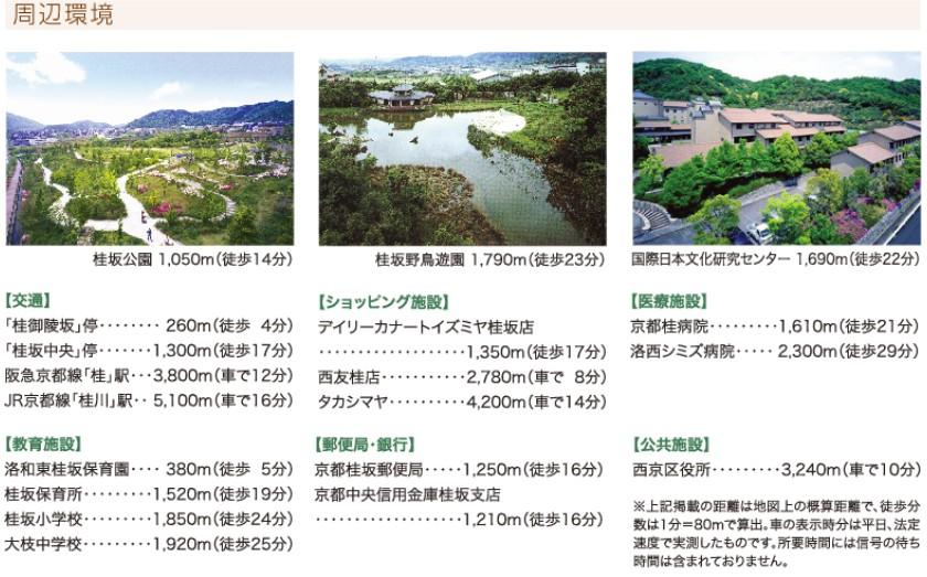 Other. Surrounding environment