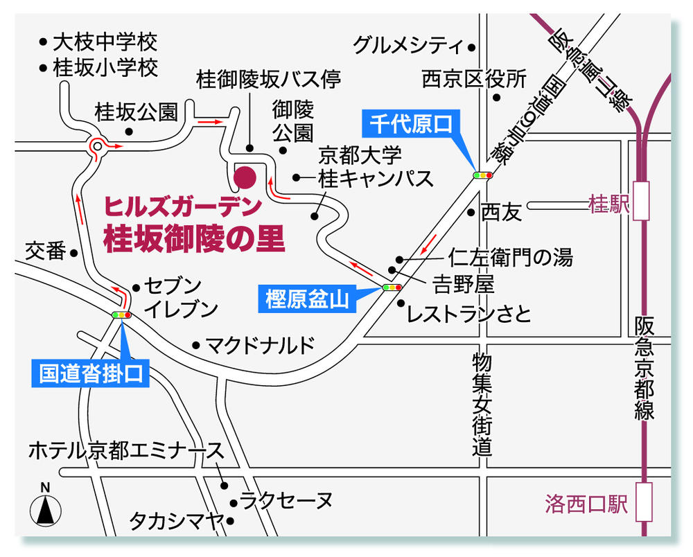 Other. Local guidance information