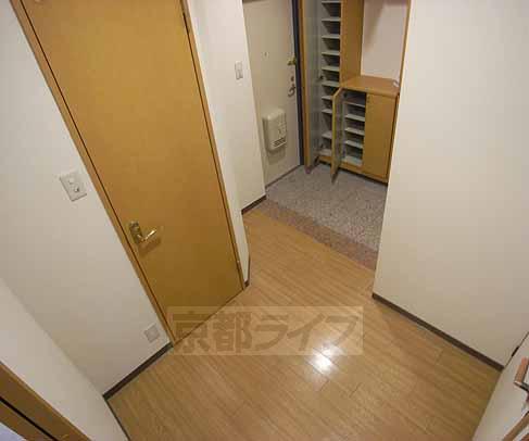 Entrance. Large capacity shoe box!