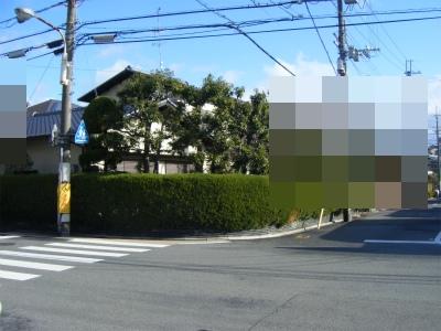 Local photos, including front road. Local (12 May 2013) Shooting