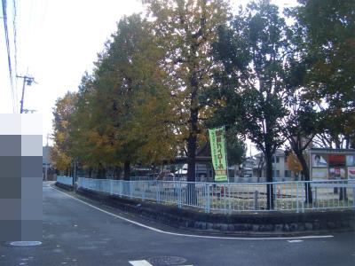 park. Autumn leaves children's park