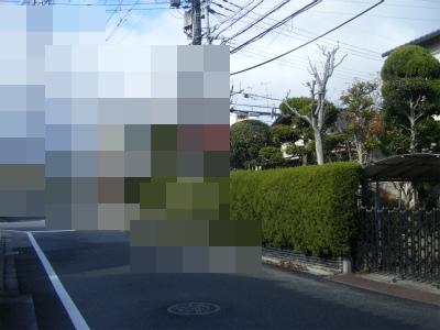 Local photos, including front road. Local (12 May 2013) Shooting