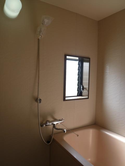 Bathroom. Indoor (10 May 2013) Shooting