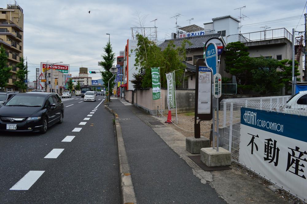 Local photos, including front road