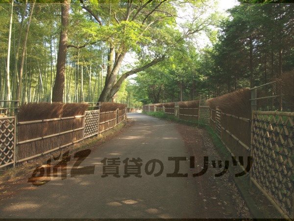 park. 3420m to the bamboo forest park (park)