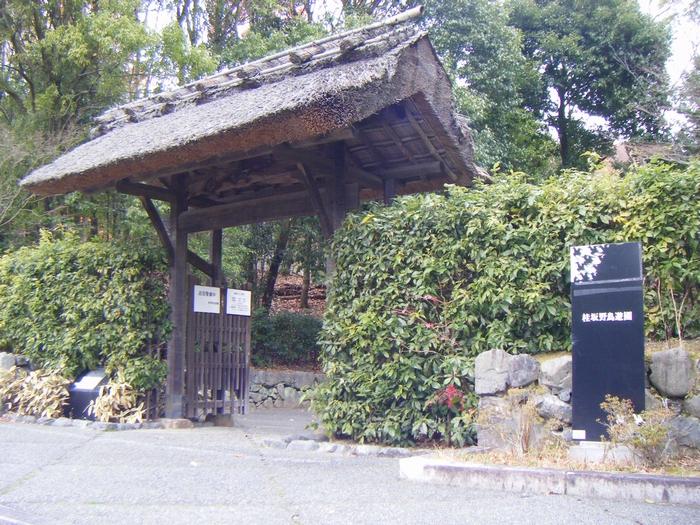 park. Katsurazaka wild birds Amusement