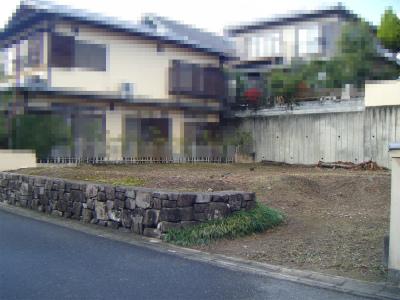 Local land photo. Local (11 May 2013) Shooting