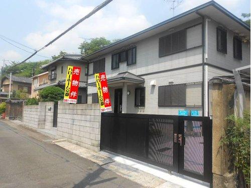 Local appearance photo. Local (July 2012) shooting