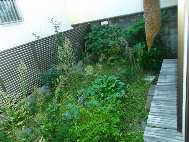 Garden. Local (11 May 2013) Shooting