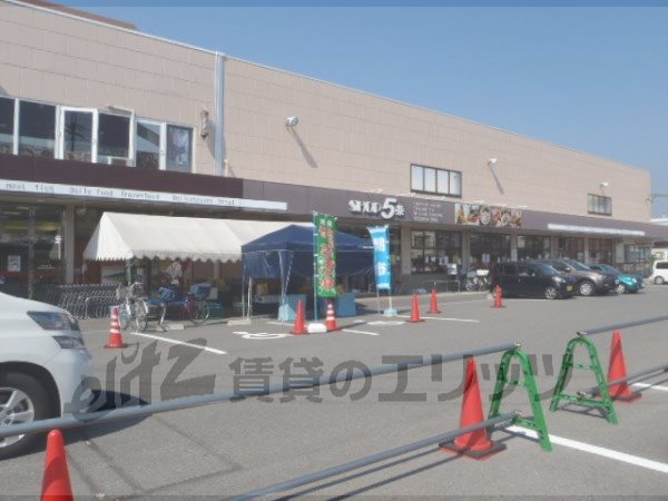 Supermarket. Shop Article 5 until the (super) 500m