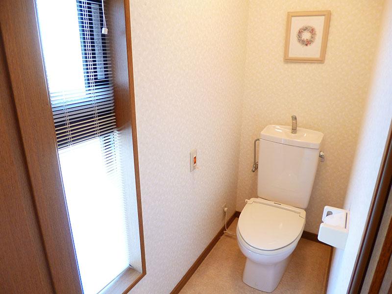 Toilet. Indoor shooting