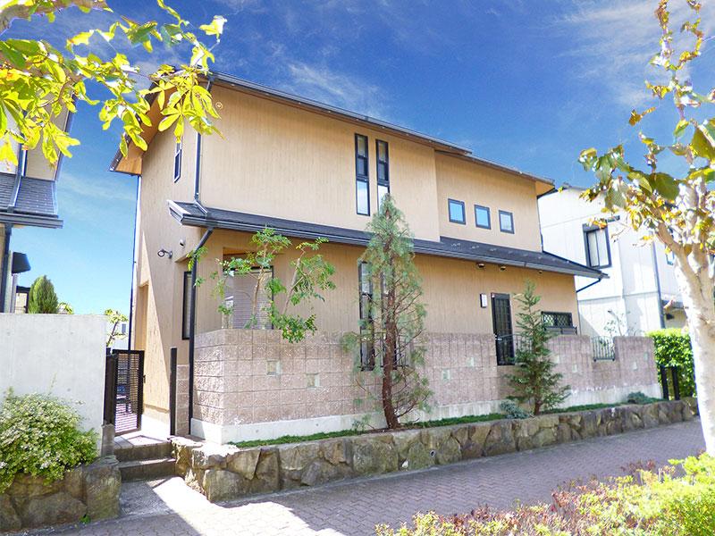 Local appearance photo. Local shooting